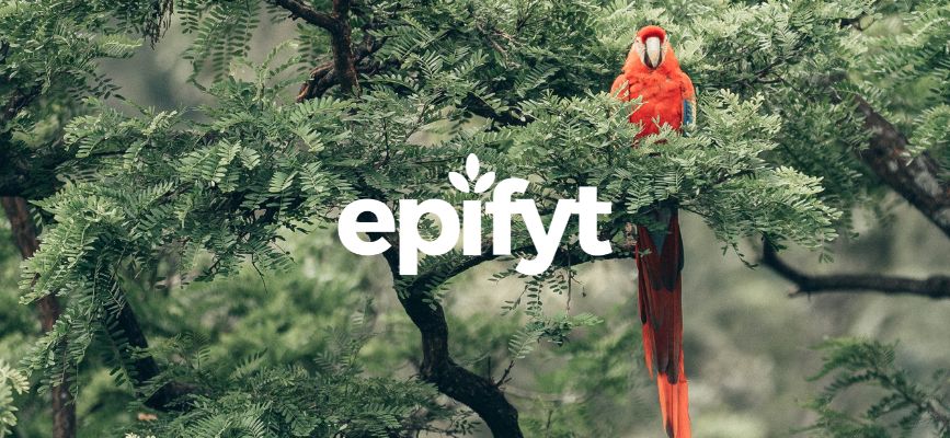 epifyt engages environnement min