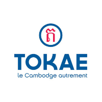 logo tokae