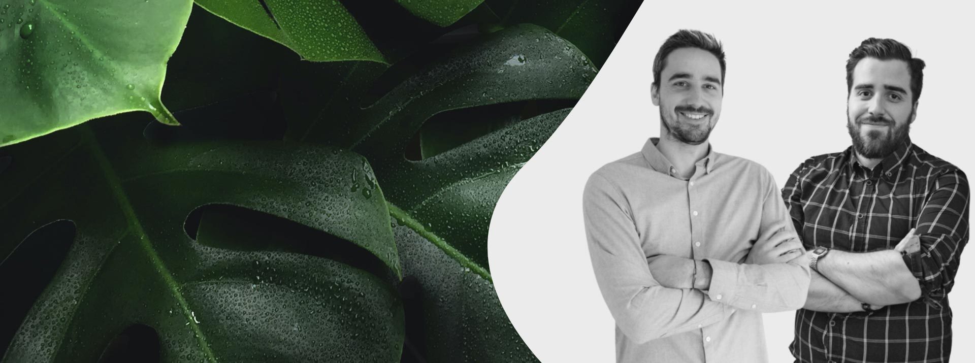 agence web epifyt